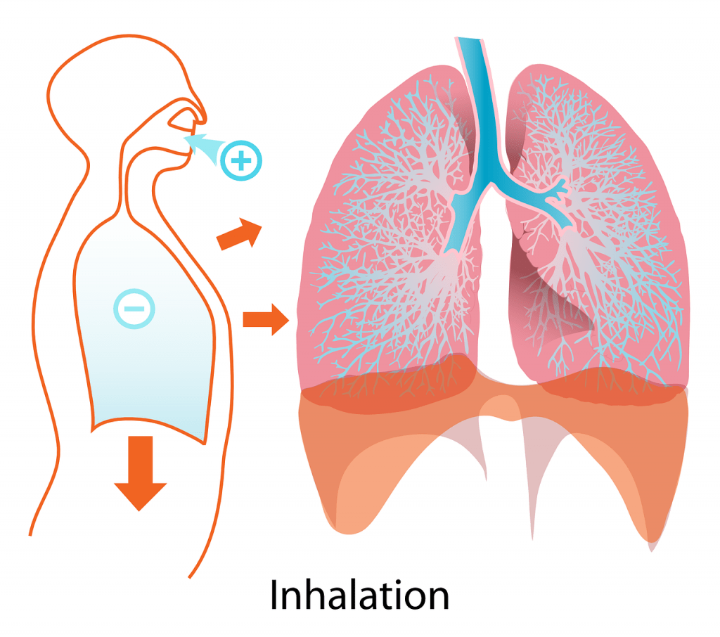 Espirometria - Inhalación - IMObariatrica Espirometria - Inhalación - IMObariatrica
