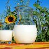 IMO Blog - Categoría nutrición y dietética -Proteínas - Importancia - IMObariátrica