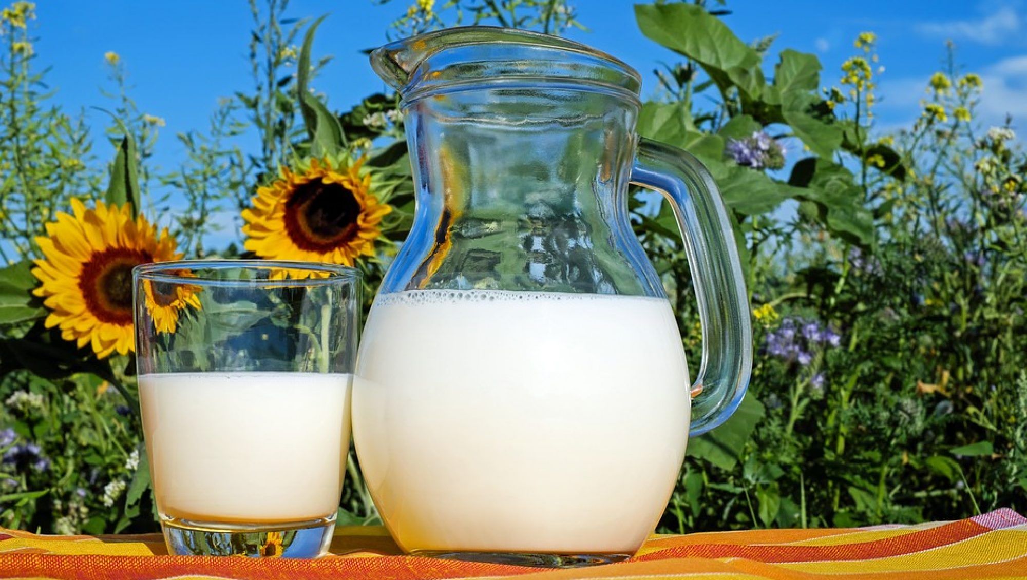 Proteínas – Importancia – Nutrición y Dietética – IMObariátrica IMO Blog - Categoría nutrición y dietética -Proteínas - Importancia - IMObariátrica