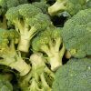 IMO Blog - Categoría nutrición y dietética - Vitamina A - Vegetales - IMOBariátrica
