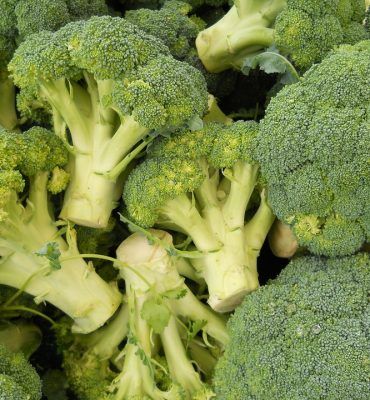 Vitamina A – Vegetales – IMOBariátrica IMO Blog - Categoría nutrición y dietética - Vitamina A - Vegetales - IMOBariátrica