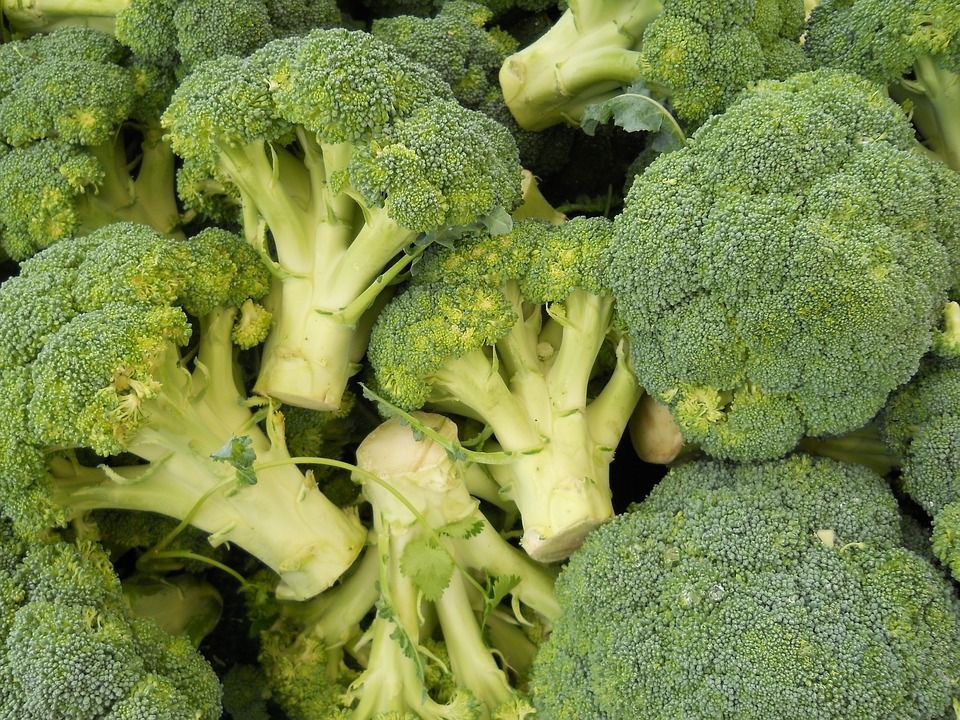 Vitamina A - Vegetales - IMOBariátrica IMO Blog - Categoría nutrición y dietética - Vitamina A - Vegetales - IMOBariátrica