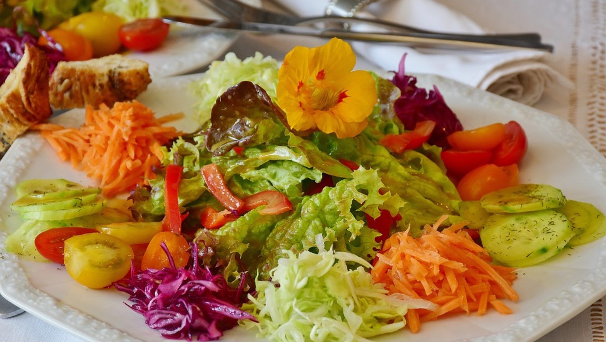 Alimentación sana-cirugía bariátrica-IMOBariátrica Alimentación sana-cirugía bariátrica-IMOBariátrica