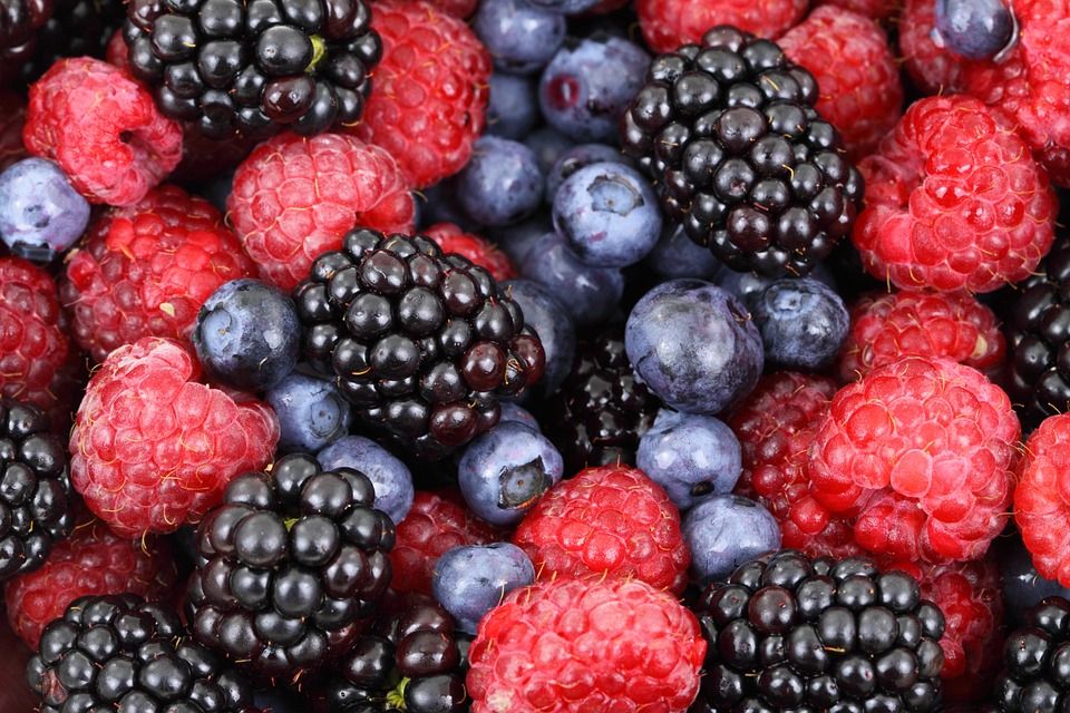 Postres-frutas-IMOBariátrica