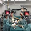 Cáncer de mamas - Manga - Gastrica - IMO