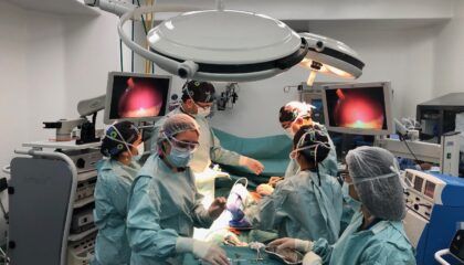 Cáncer de mamas - Manga - Gastrica - IMO