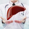 Esteatosis hepática-acumulación lipídica-IMOBariátrica